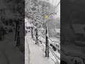 happy snow fall #explore #mountains #comment #place #name #likeforlikes #shortsviral #subscribe
