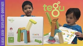 TEGU Magnetic Wooden Blocks Toy Unboxing and Play Time | Liam and Taylor's Corner
