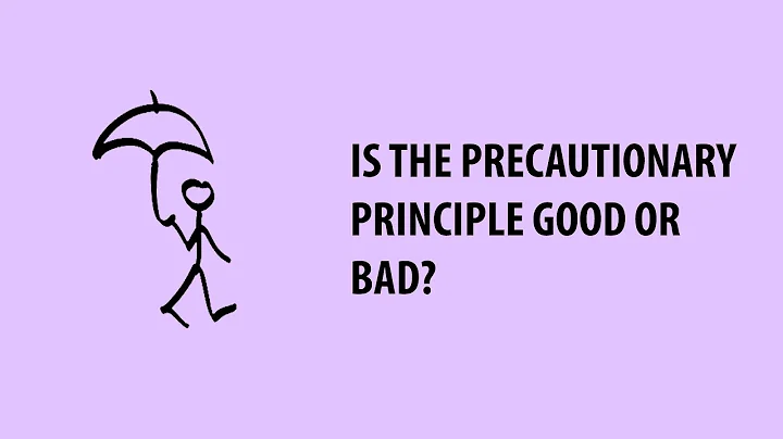 What is the Precautionary Principle, and is it Good or Bad? | Andrew Maynard | Risk Bites