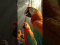 Ultra Realistic Tropical Birds in Slow Motion  #birds
