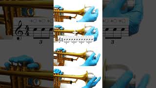 Download Lagu Rhythmic options for Wah-Wah mute (and how they would sound together) 🎺 MP3 Download Lagu Rhythmic options for Wah-Wah mute (and how they would sound together) 🎺 MP3