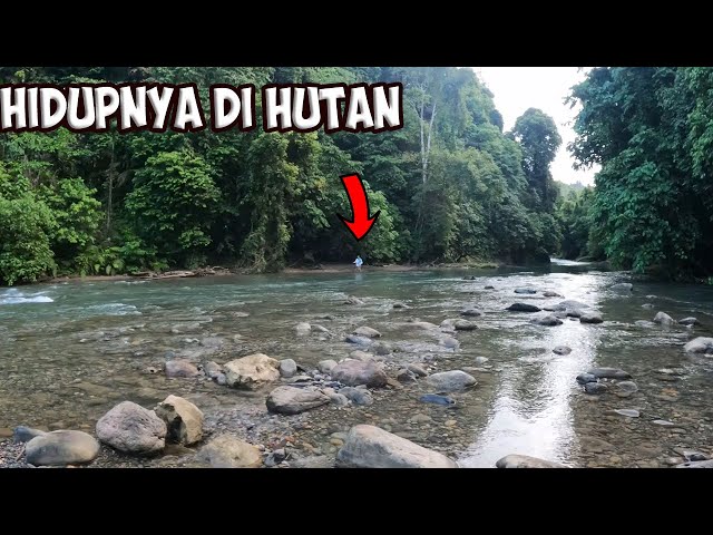 Petualangan Bermalam Di Pondok Kebun Mencari Ikan Camp Fishing | Petualangan Part 20 class=