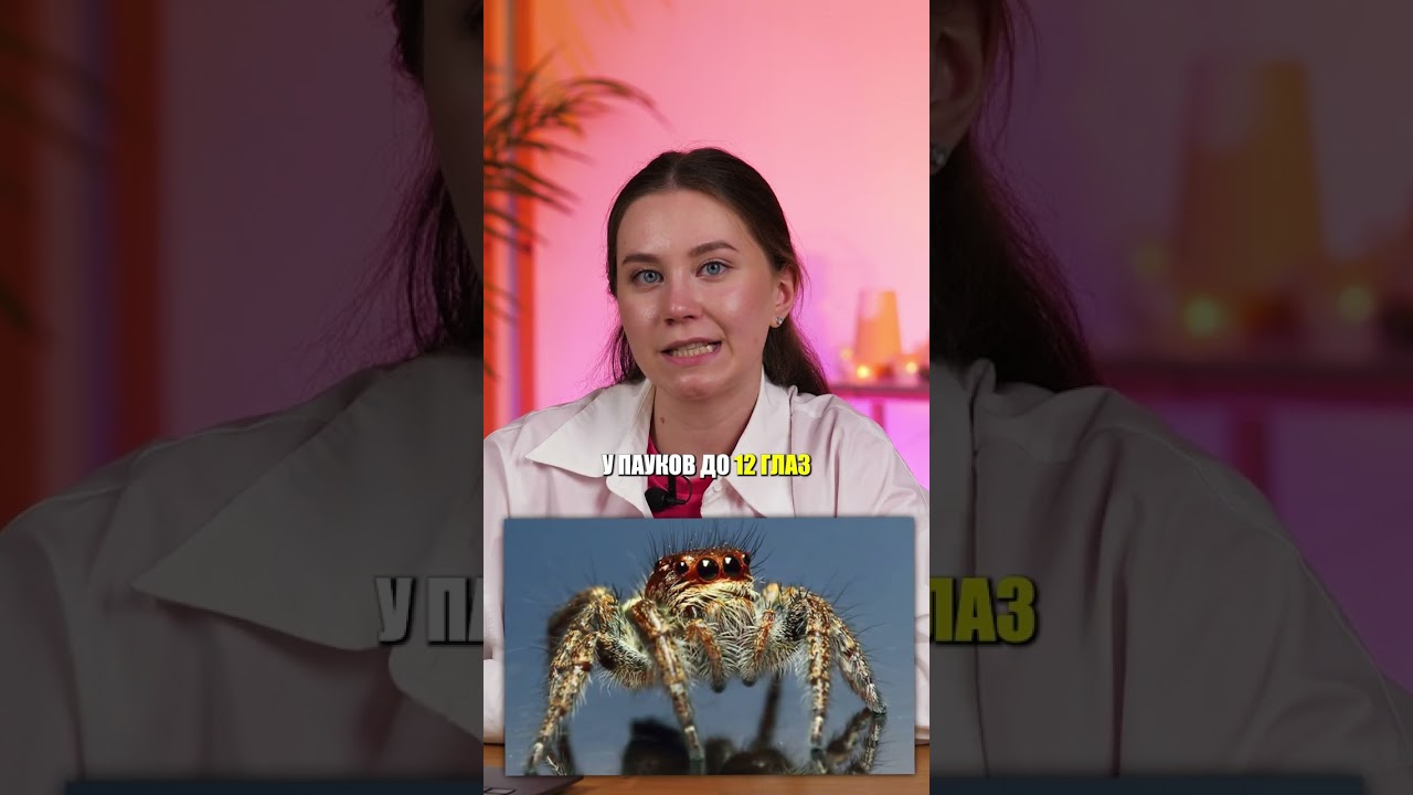 У кого БОЛЬШЕ ВСЕГО глаз? 