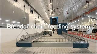Breeder chain feeding system | GREAT FARM