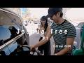 【アメリカ旅VLOG #3】セドナからジョシュアツリーへ6時間ドライブ🚗bungo初めてのガソリンスタント、『ワン・バトル・アフター・アナザー』的な道、ジョシュアツリーの素敵なairbnb