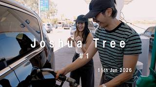 【アメリカ旅VLOG #3】セドナからジョシュアツリーへ6時間ドライブ🚗bungo初めてのガソリンスタント、『ワン・バトル・アフター・アナザー』的な道、ジョシュアツリーの素敵なairbnb