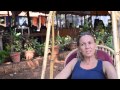 Sampoorna yoga testimonial