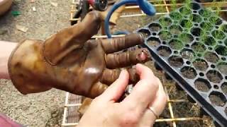 Stretch Leather Gloves Easy