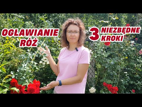 Wideo: Proste sposoby użycia gołych minerałów: 15 kroków (ze zdjęciami)