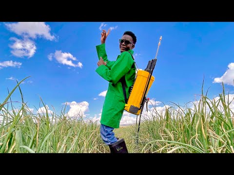 Mca Tricky - Machos ya Kitunguu (Agricasher Ep 04)