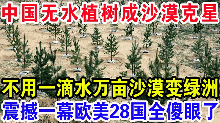 中国无水植树成沙漠克星，不用一滴水万亩沙漠变绿洲，震撼一幕欧美28国全傻眼了 - 天天要闻