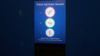 17 развитие внимания