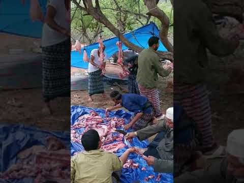 هبوت محليه ظفاريه وقت العمل للحماس