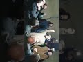المنشد الشيخ طه الزعبي