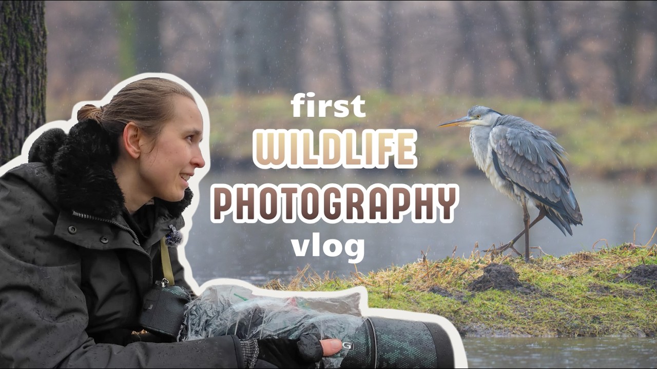 Rainy Day Bird Encounters | My First Wildlife Photography Video