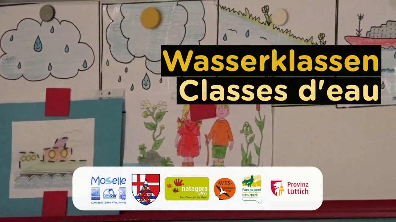 Animation "classes d'eau" à l'école maternelle - YouTube