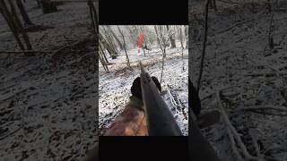 Утренняя охота на кролика: идеальный выстрел🐇#chasse #hunting #rabbit #отличная