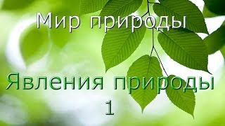 Явления природы 1 Явления природы 1