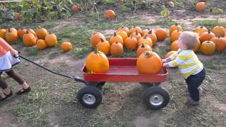 Roman Pushing Wagon at Pumpkin Patch Oct. 2013