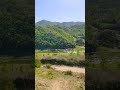 beautiful video #youtubeshorts #nature #ytshorts