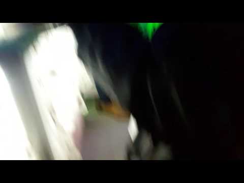 جاى بيشكى النجم مصطفى الصغير