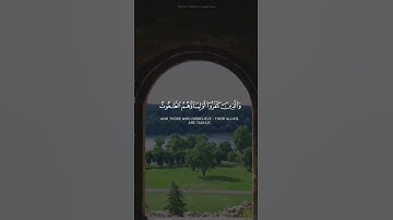 ﴿الله ولي الذين آمنوا يخرجهم من الظلمات إلى النور﴾ تلاوة رائعة للشيخ #ماهر_المعيقلي