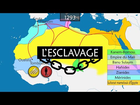 Vidéo: Fort orage magnétique sur Terre ! Peur ou réjouissance ?