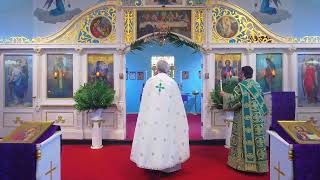 Divine Liturgy (Света Литургија) - Palm Sunday - Entry of our Lord into Jerusalem - Apr 5, 2026