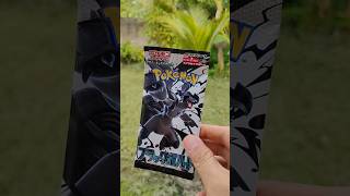 Black Bolt kebrewek dikebun😆 #pokemon #pokemoncards #pokemontcg #brewek #blackbolt #tcgpokemon #tcg