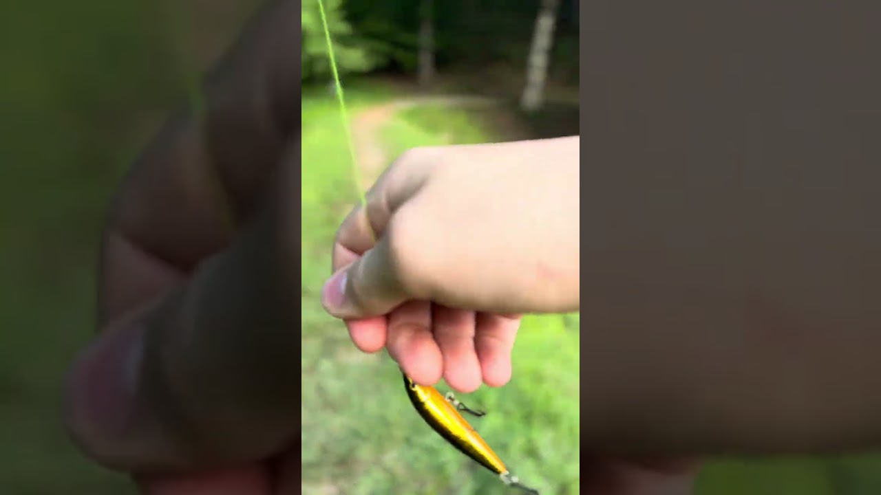 There was a big bass
