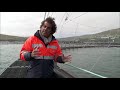 A produção de salmão nas Ilhas Faroe