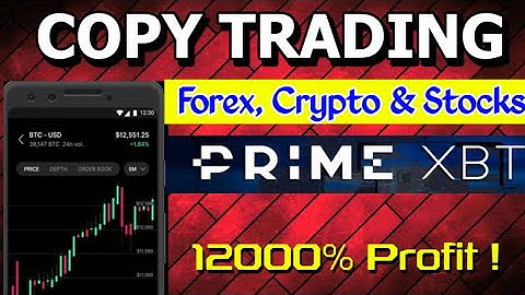 Start Copy Trading in Forex crypto and stock market | PrimeXBT Trading Platform review