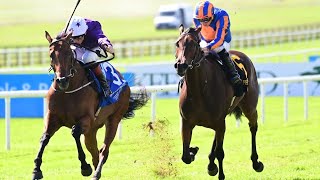 Wow Power Blue Defeats 1-4 Favourite True Love In The Phoenix Stakes