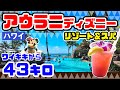 アウラニ　ディズニー　ハワイ　トランク　タグ付き新品　磯村勇斗 🌈 Hawaii 