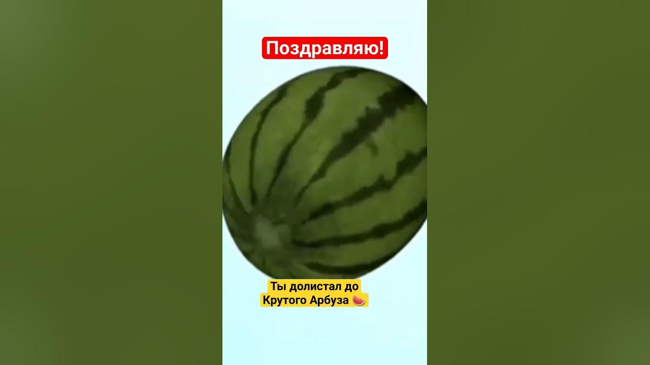 крутой арбуз 🍉 #мем #мемас #арбуз #смешно #угар #смешныевидео - YouTube