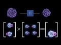 How Quantum Computers Work