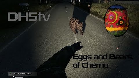 Released a Bear in Cherno | Dayz Experimental Patch 1.12