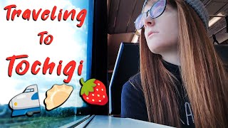 How I Travel in Japan | Tochigi