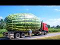 Insane Truck &amp; Agricultural Machines You’ve Never Seen Before | Next-Level Farming Tech