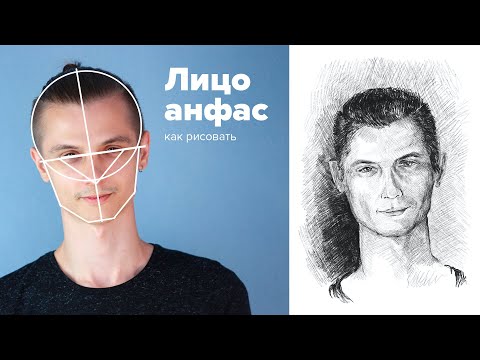 Как рисовать лицо человека анфас (видеоурок)