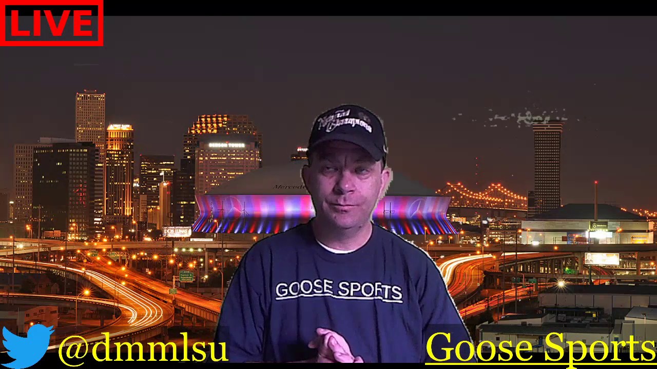 Goose Sports Video Introduction