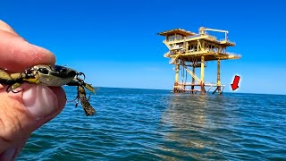 I Tossed This FAKE CRAB on an Offshore Oil Rig and Caught My Dinner