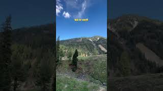 A Single Home In A Dense Forest