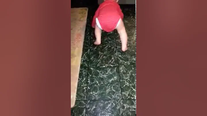 The Spider Baby