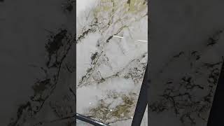 Bright Gold Design, Welcome To Purchase.