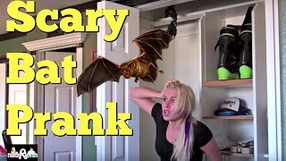 Scary Bat Prank