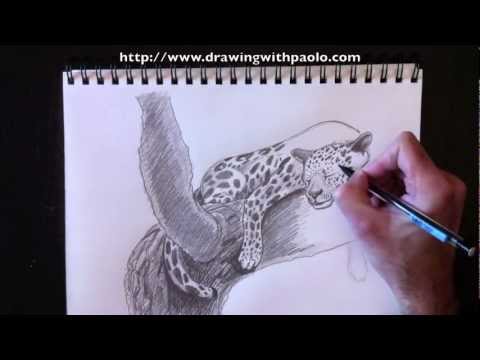 Vidéo: Comment Dessiner Un Léopard Avec Un Crayon