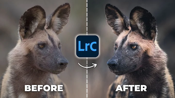 Critical Editing Skill Most Wildlife Photographers Miss (Lightroom Tutorial) thumbnail