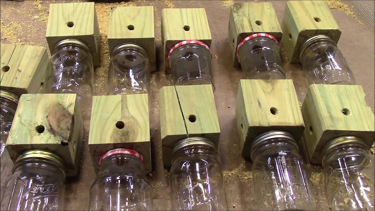 Homemade Carpenter Bee Trap - YouTube