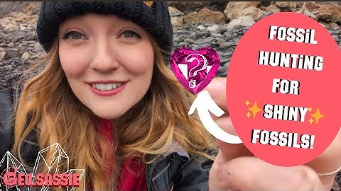 Jurassic Coast - AMAZING Shiny and Colourful Fossils!